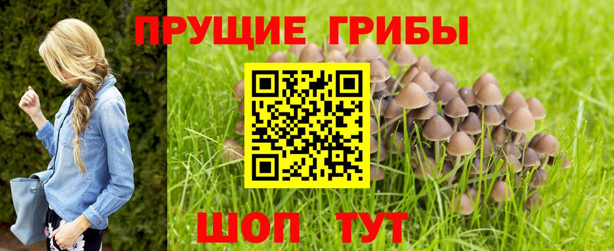 Псилоцибиновые грибы Psilocybine cubensis  Галлюциногенные грибы Cubensis  Саяногорск  Вход с VPN 